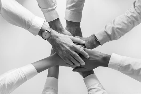Como criar Equipas de Alto Rendimento